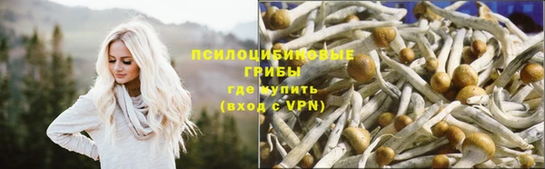 мет Богородск