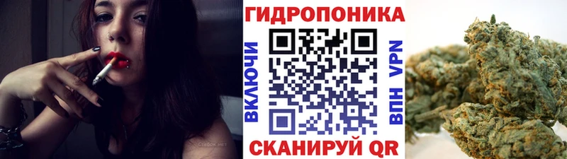 Бошки Шишки ГИДРОПОН  Орехово-Зуево 
